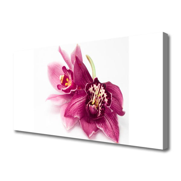 Fotografija na canvas platnu Cvijeće Biljna priroda