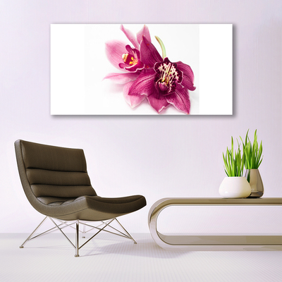 Fotografija na canvas platnu Cvijeće Biljna priroda