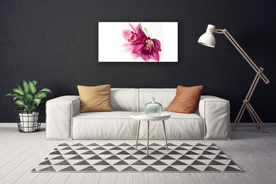 Fotografija na canvas platnu Cvijeće Biljna priroda