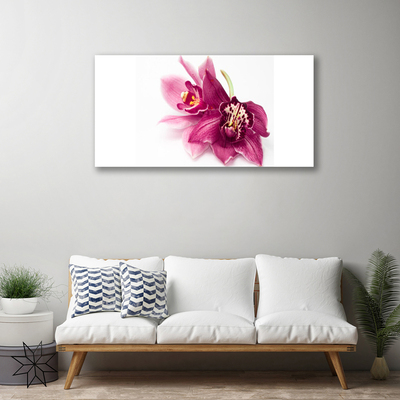 Fotografija na canvas platnu Cvijeće Biljna priroda