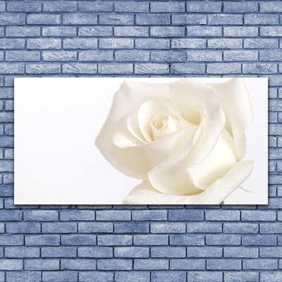 Foto slika na platnu Cvijeće Ruže