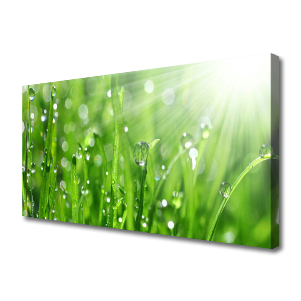 Slika canvas Priroda Grass Drops