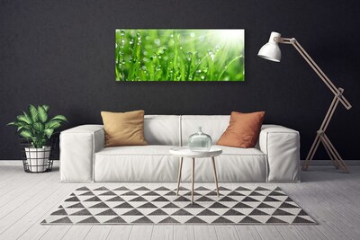 Slika canvas Priroda Grass Drops