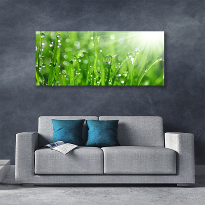 Slika canvas Priroda Grass Drops