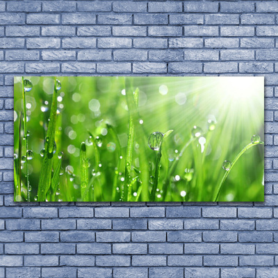 Slika canvas Priroda Grass Drops