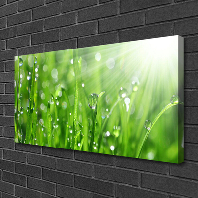 Slika canvas Priroda Grass Drops