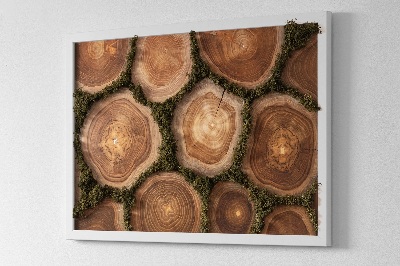 Slika od mahovine Presjek debla