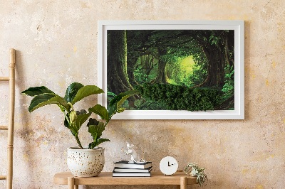 Slika od mahovine Tropska džungla