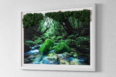 Slika od mahovine Rijeka usred šume