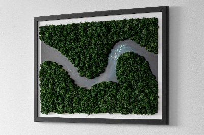 Slika od mahovine Rijeka u šumi