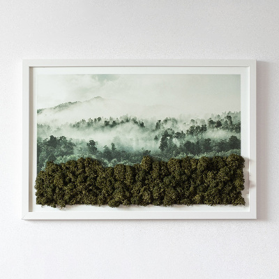 Slika od mahovine Šuma u magli