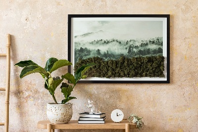 Slika od mahovine Šuma u magli