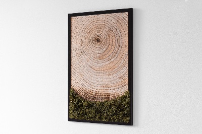 Slika od mahovine Drveno zrno