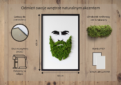 Slika od mahovine Hipster s bradom