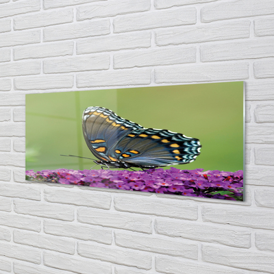 Staklena slika Šareni leptir na cvijeću