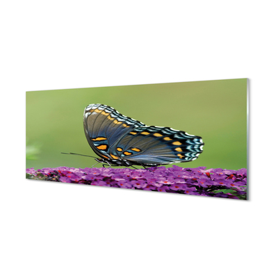 Staklena slika Šareni leptir na cvijeću