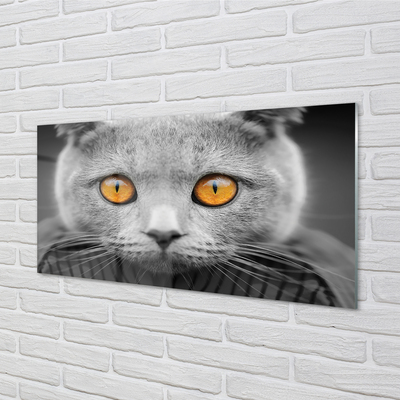 Staklena slika Britanska siva mačka