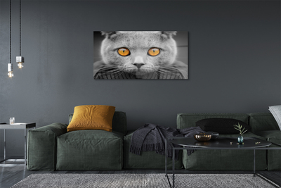 Staklena slika Britanska siva mačka
