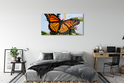 Fotografija na staklu Šareni leptir
