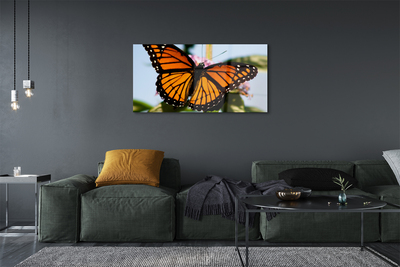Fotografija na staklu Šareni leptir