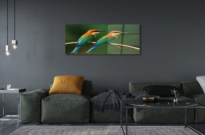 Fotografija na staklu Šarene papige na grani