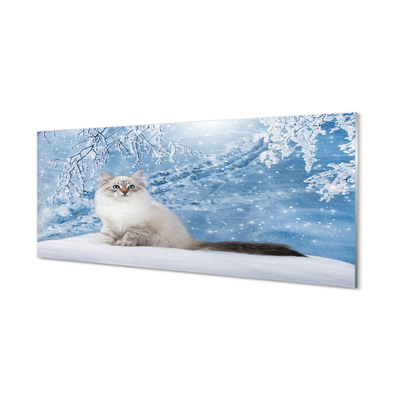 Staklena slika Mačka zimi