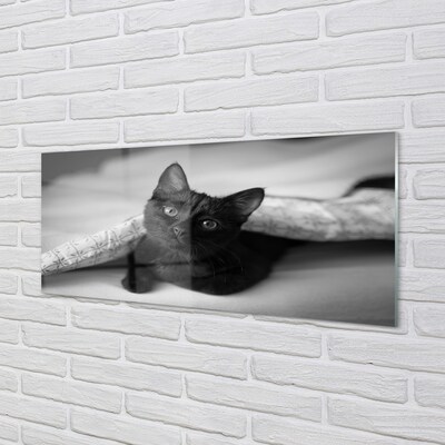 Staklena slika za zid Mačka ispod deke