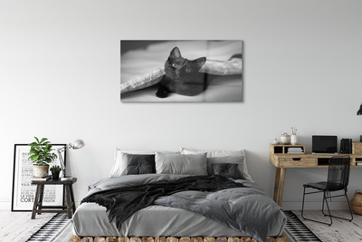 Staklena slika za zid Mačka ispod deke