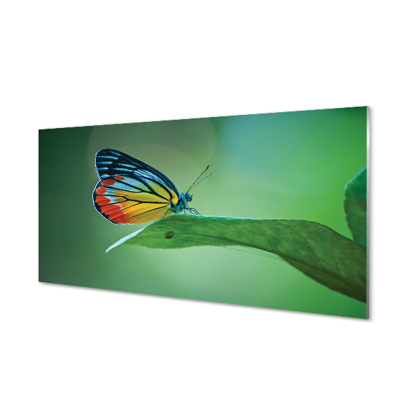Staklena slika Šareni lisnati leptir