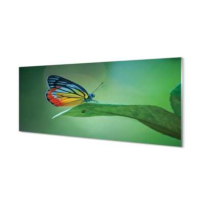 Staklena slika Šareni lisnati leptir