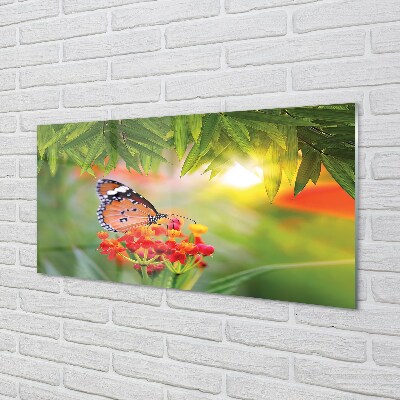 Staklena slika za zid Šareno cvijeće leptira