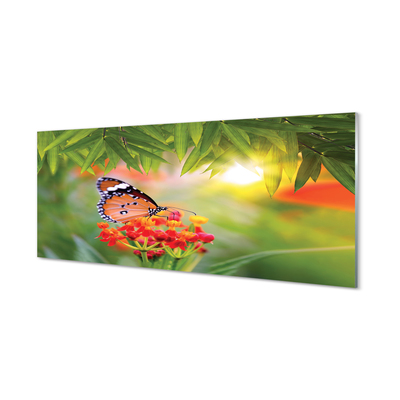 Staklena slika za zid Šareno cvijeće leptira