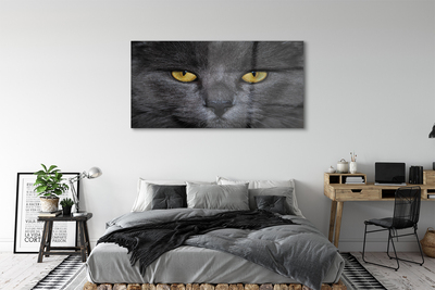 Staklena slika Crna mačka