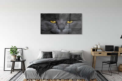 Staklena slika Crna mačka