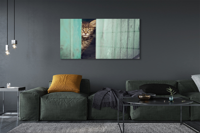 Staklena slika za zid Mačka gleda unutra