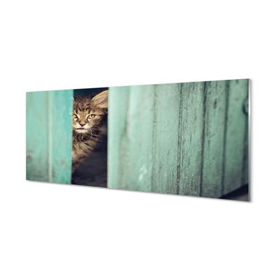 Staklena slika za zid Mačka gleda unutra