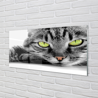 Staklena slika za zid Siva i crna mačka