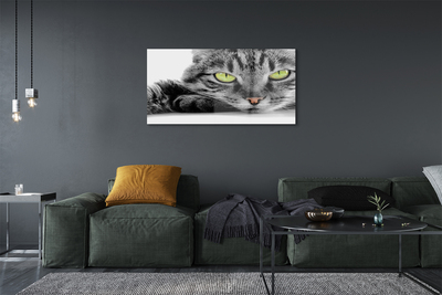 Staklena slika za zid Siva i crna mačka