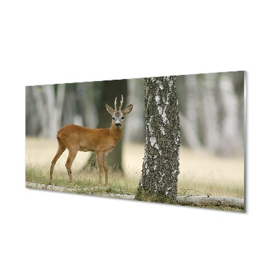 Staklena slika za zid Šumski jelen