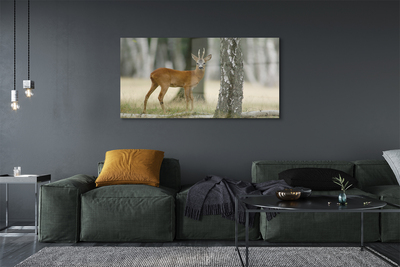 Staklena slika za zid Šumski jelen
