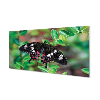 Staklena slika za zid Šareno lišće leptira