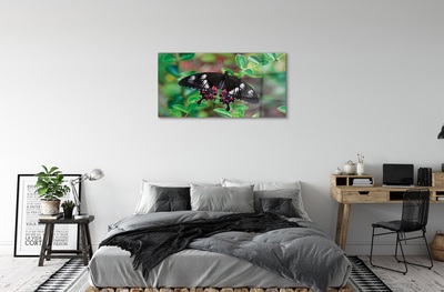 Staklena slika za zid Šareno lišće leptira
