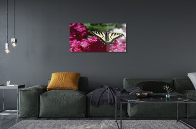 Fotografija na staklu Leptir cvijeće