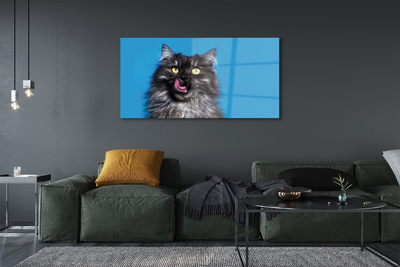 Staklena slika Mačka koja liže