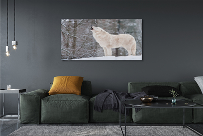 Fotografija na staklu Zimski šumski vuk
