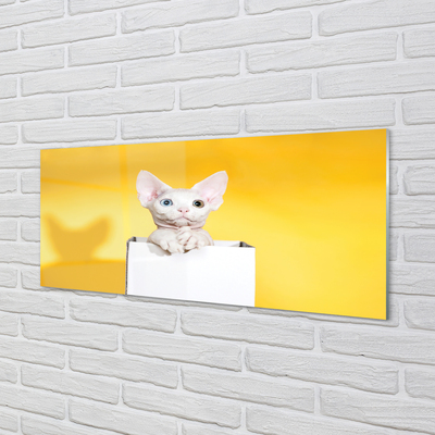 Staklena slika za zid Mačka koja sjedi