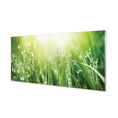 Staklena slika Sunčane kapi trave