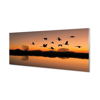 Staklena slika Ptice koje lete na zalasku sunca