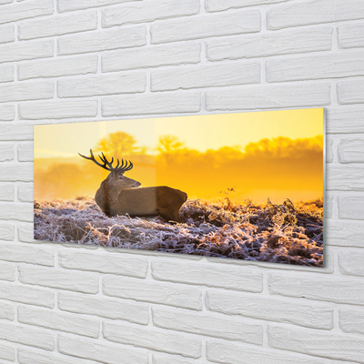 Staklena slika za zid Jeleni zimski izlazak sunca