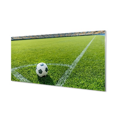 Fotografija na staklu Stadion s loptom na travi